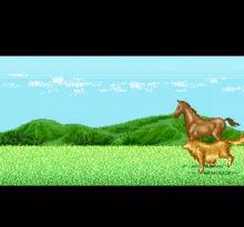 Image n° 1 - screenshots  : Winning Post